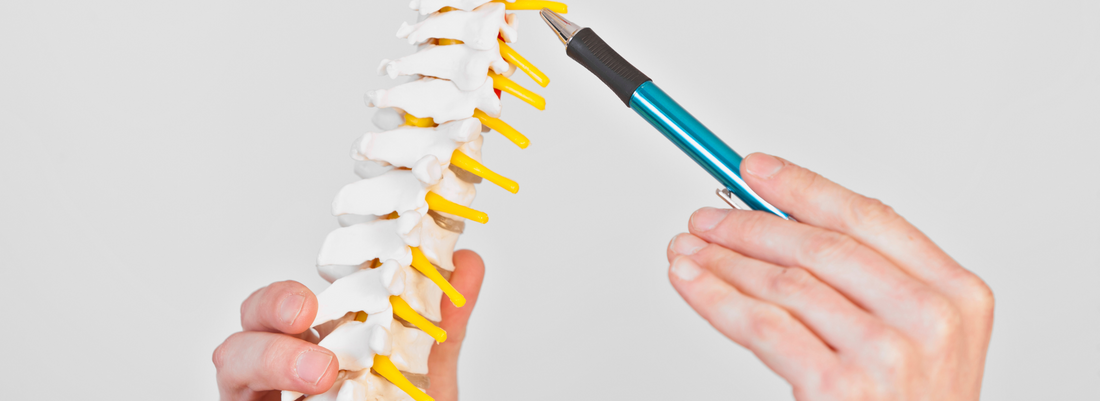 Atlas Korrektur Übungen 