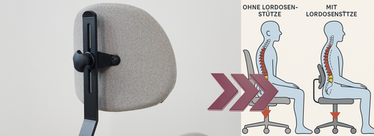 Lordosenstütze Schutz für den Rücken