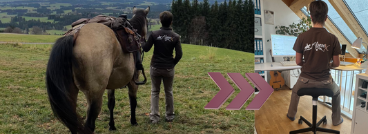 Reiten und Sattelstuhl verringern Rückenschmerzen