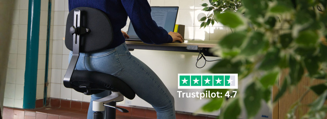 Testsieger: Sitzkonzepte im Vergleich