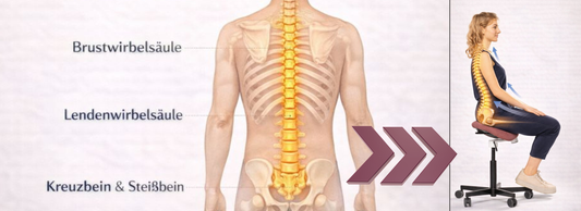 Orthopädischer Stuhl erklärt